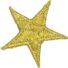 Etoile broderie dorée